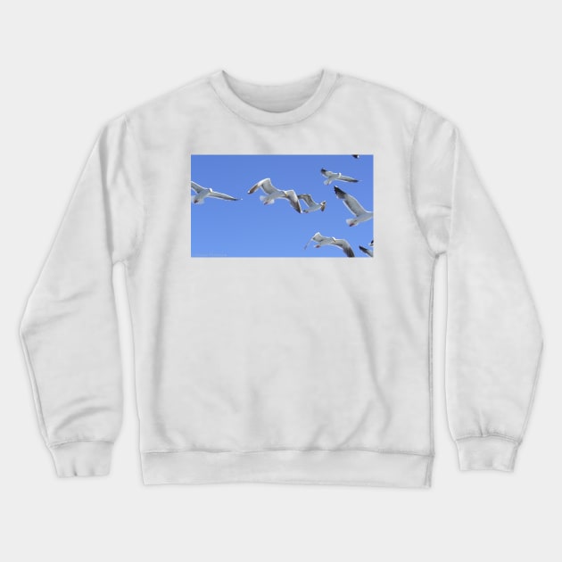 Flock of Seagulls Crewneck Sweatshirt by redneckpoet